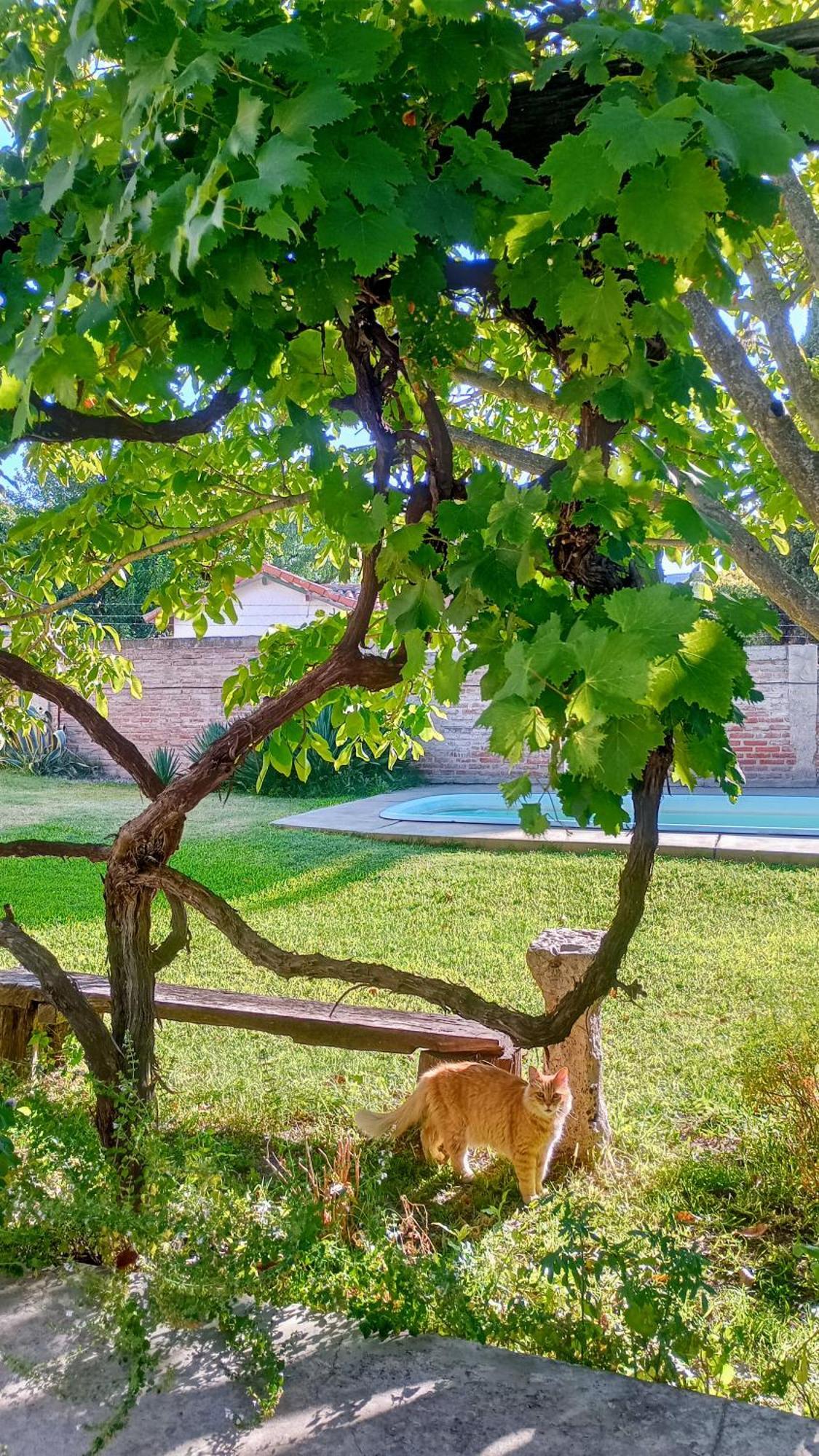 B&B Garden Atelier La Cumbre Zewnętrze zdjęcie